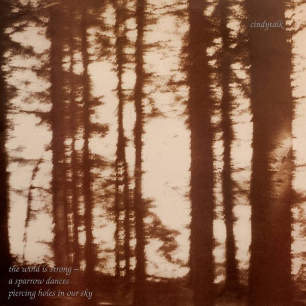 Cindytalk – The Wind Is Strong... LP